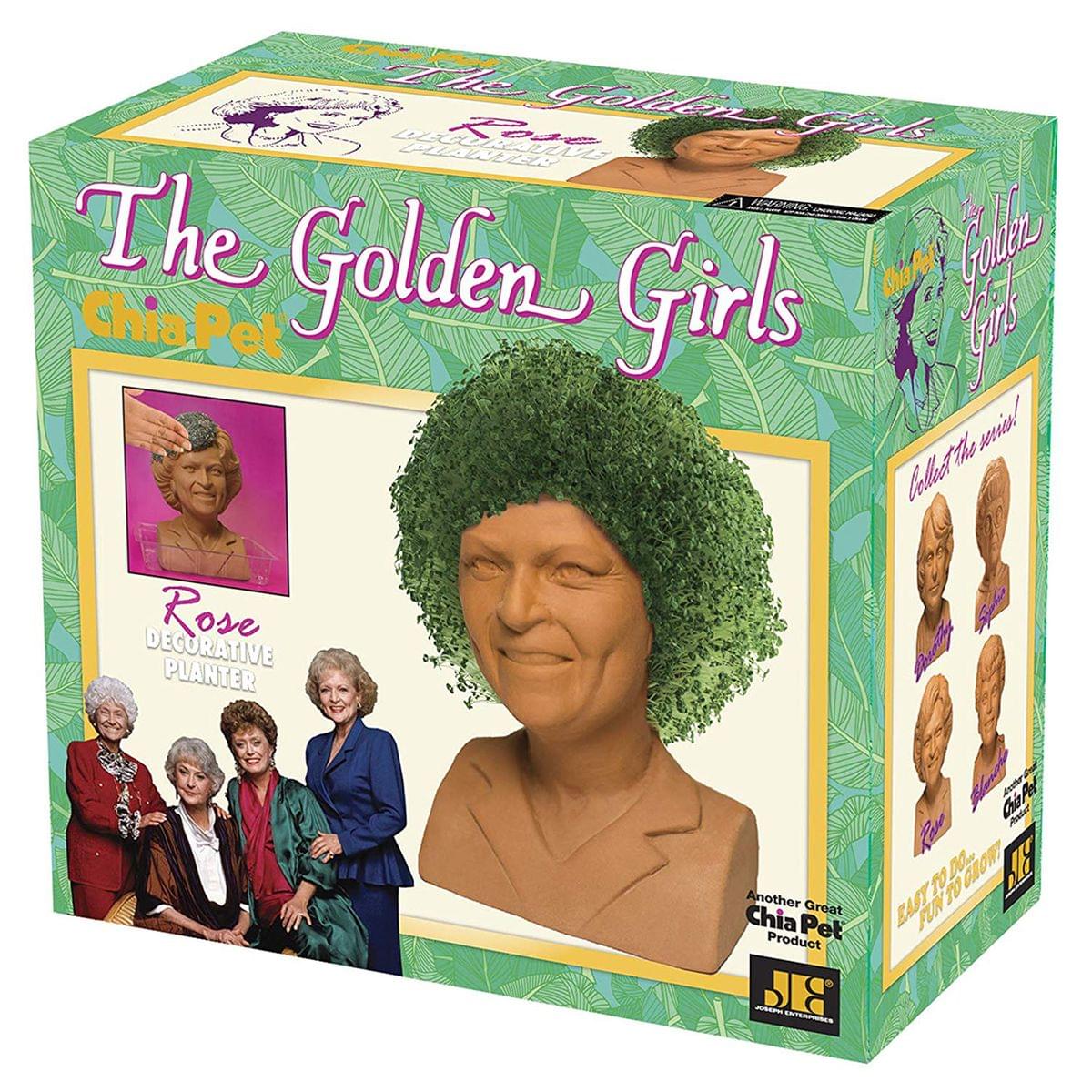 Golden Girls Chia Pet Rose Decorative Pottery Planter