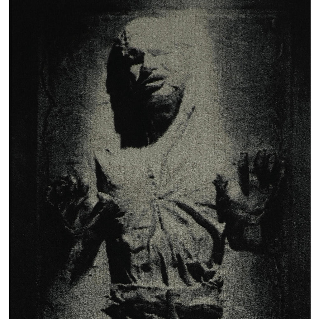 Star Wars Han Solo in Carbonite Area Rug | 39 x 91 Inches