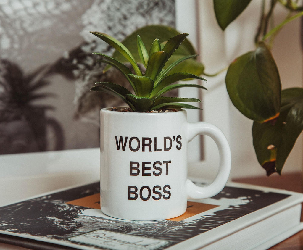 The Office "World's Best Boss" 3-Inch Ceramic Mini Planter With Artificial Succulent